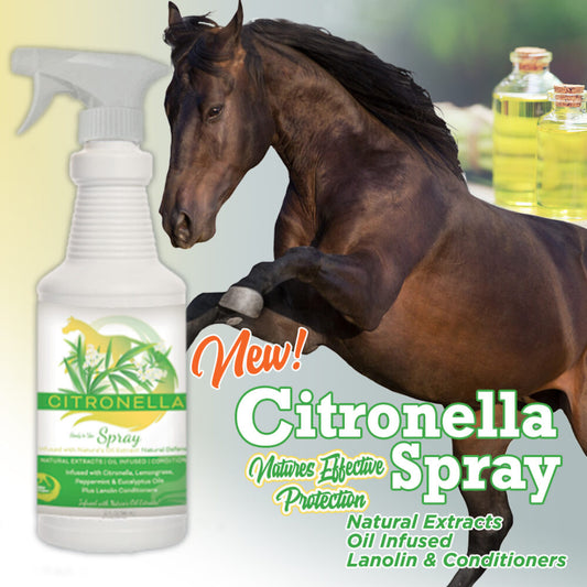Horse Citronella Spray for Coat, Mane & Tail by Healthy HairCare