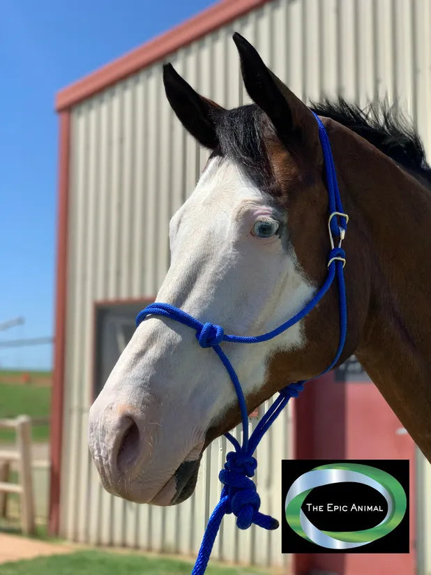 Easy-On Horse Rope Halter w/ 8' Detachable Lead Blue