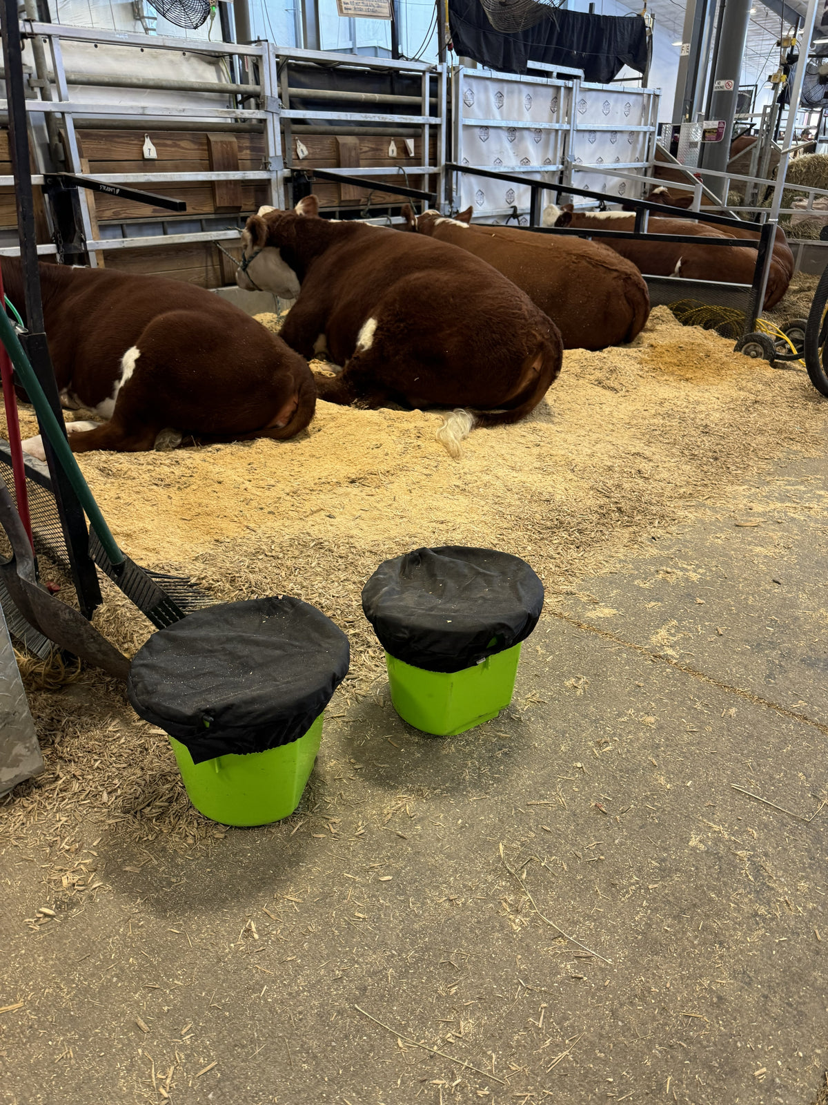 Basic Bucket Tops