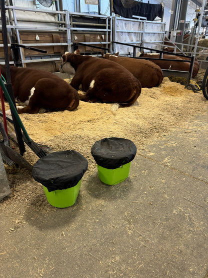 Basic Bucket Tops