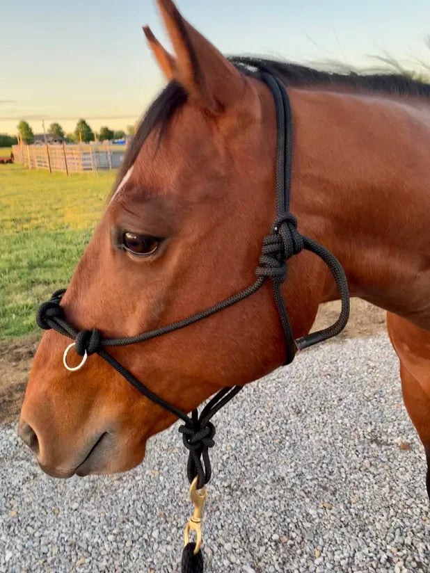 Side Pull Rope Halter 3/8