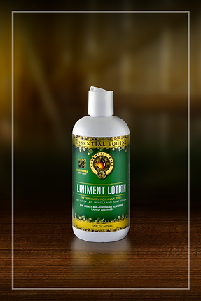Essential Equine LINIMENT LOTION – The Epic Animal