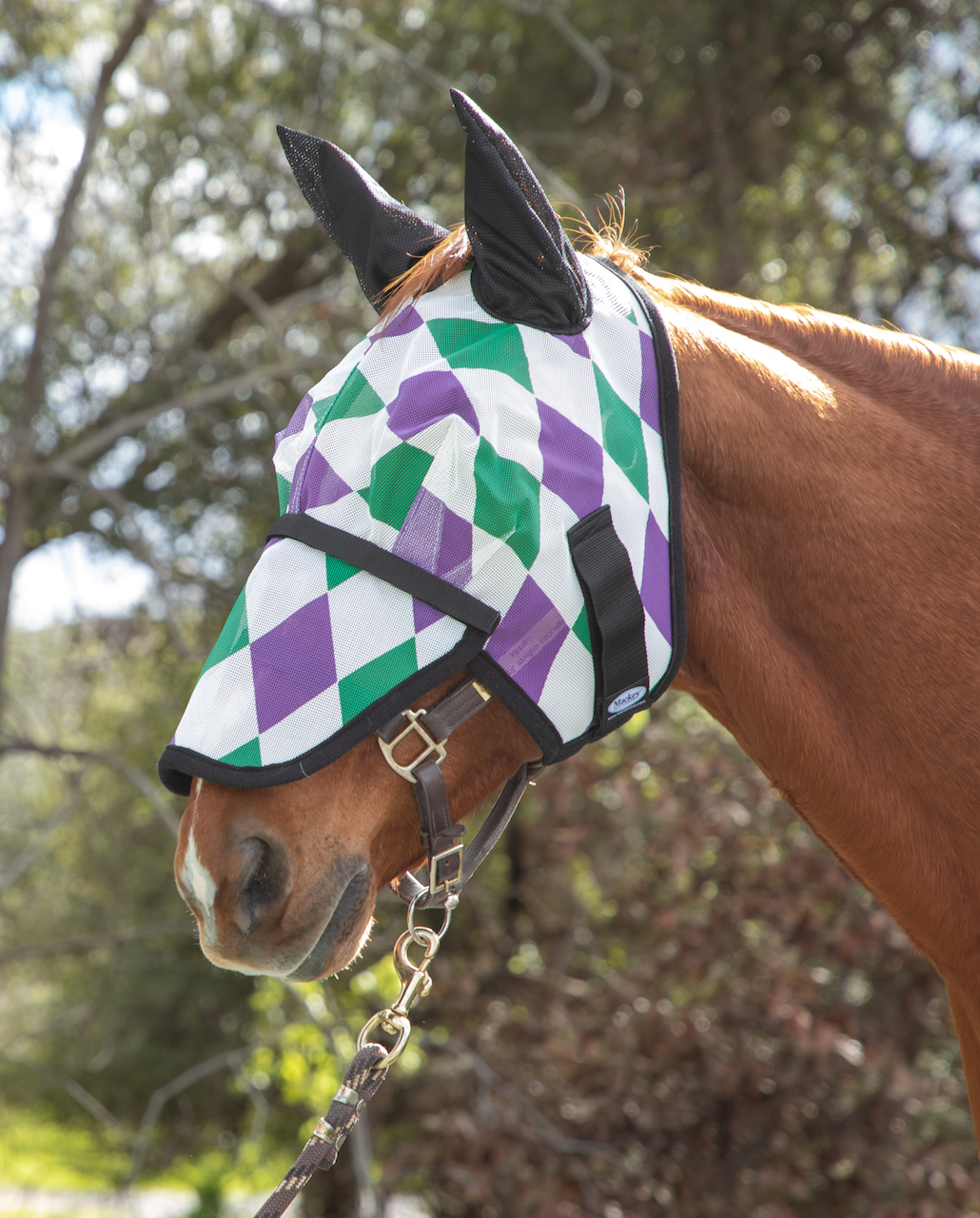 Horse wearing a checkered fly mask with trees in the background
