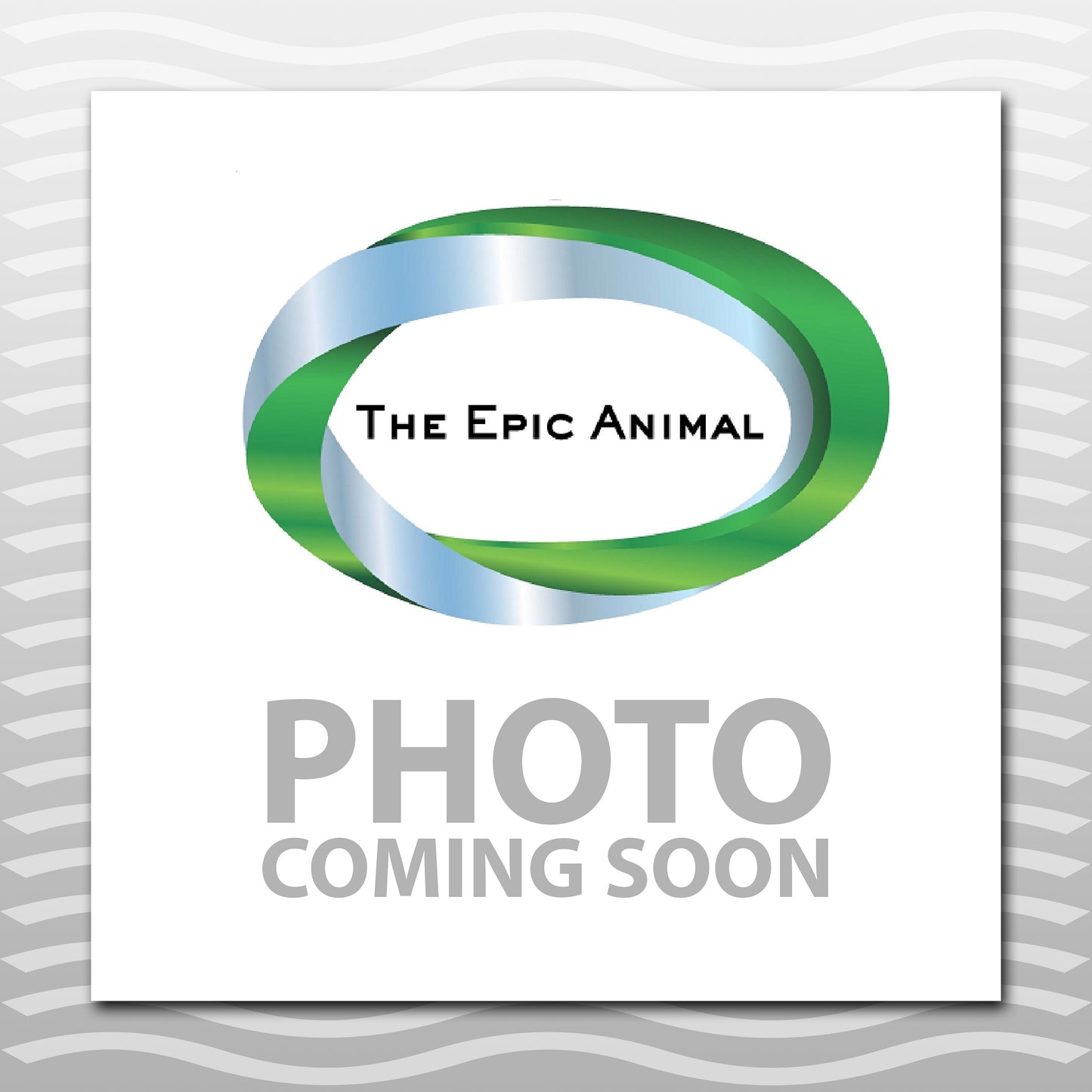 Mule Tape Halter, 10' Lead Rope, Horse Size