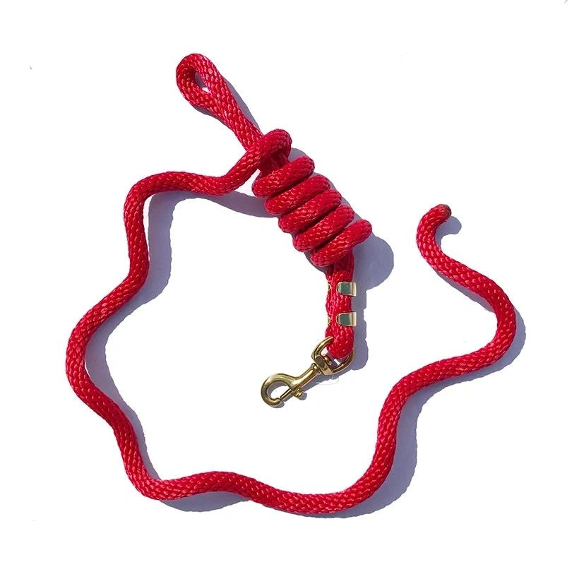 5/8" x 9' Poly Lead Rope, Brass Plated Bolt Snap, Solid Colors