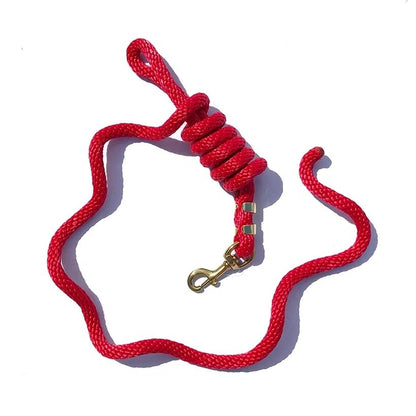 5/8" x 9' Poly Lead Rope, Brass Plated Bolt Snap, Solid Colors