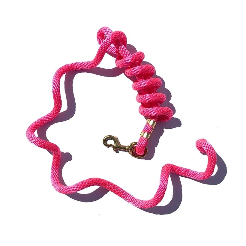 5/8" x 9' Poly Lead Rope, Brass Plated Bolt Snap, Solid Colors