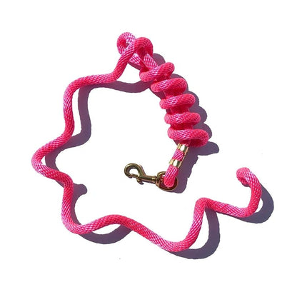 5/8" x 9' Poly Lead Rope, Brass Plated Bolt Snap, Solid Colors