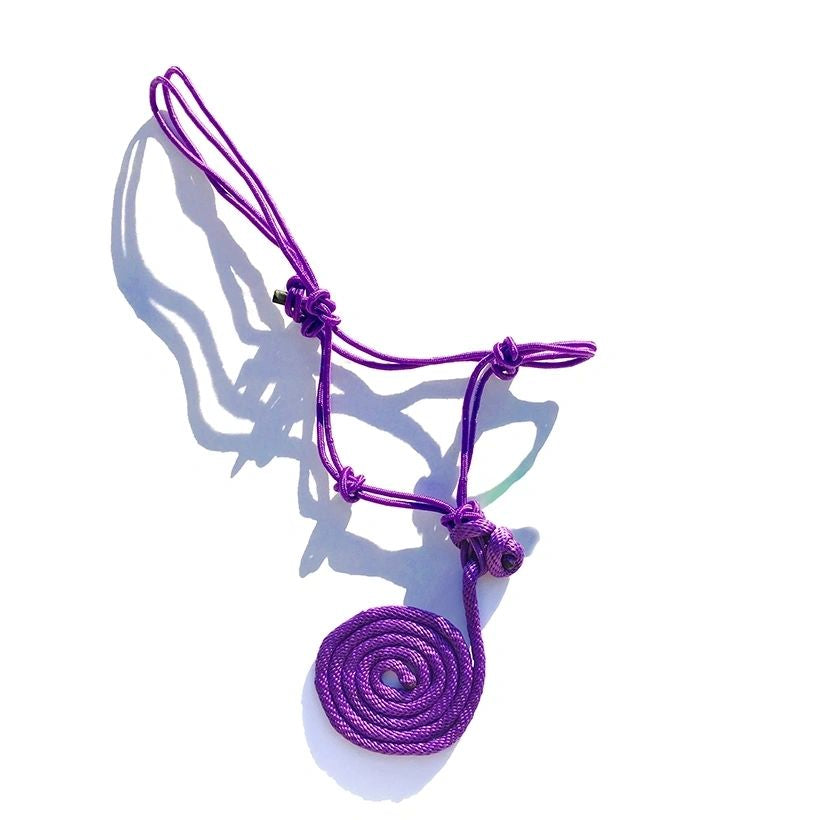 Rope Halter 5/16" with 5/8" x 8 ft Removable Lead, Solid Colors