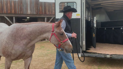 Show FresH2O Equine Water Treatment Bottle, Eliminate Chlorine in Drinking Water, Reduce Risk of Colic by Supporting Hydration, Easy Use